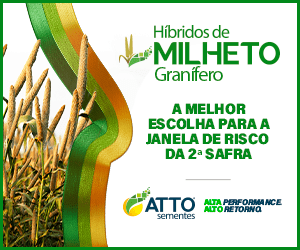 01_300x250_marretaurgente_CAMPANHA25 (1)-min